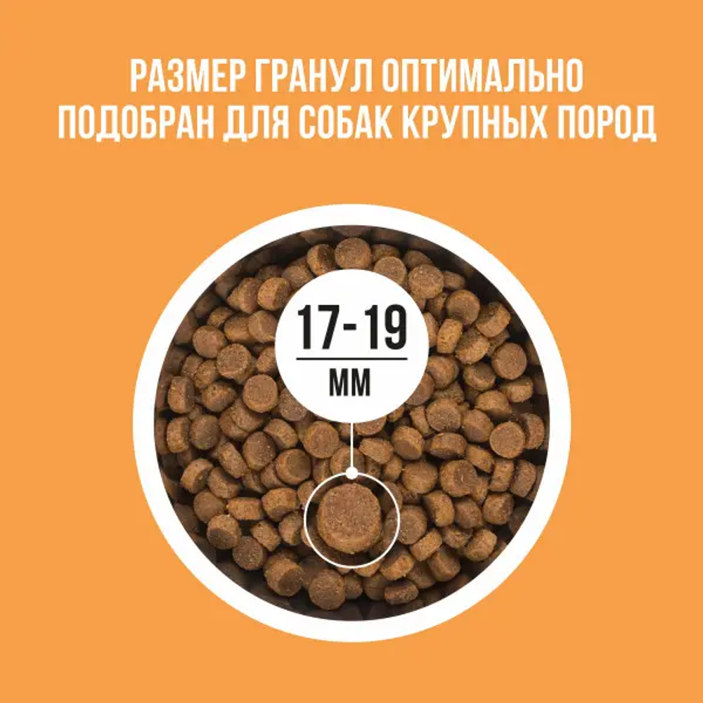 Bowl wow корм сухой для взрослых собак крупных пород: индейка, курица, рис, тыква