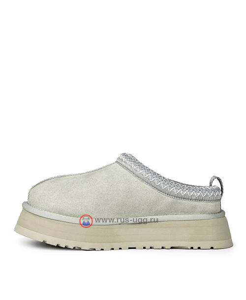 TAZZ Grey/Violet