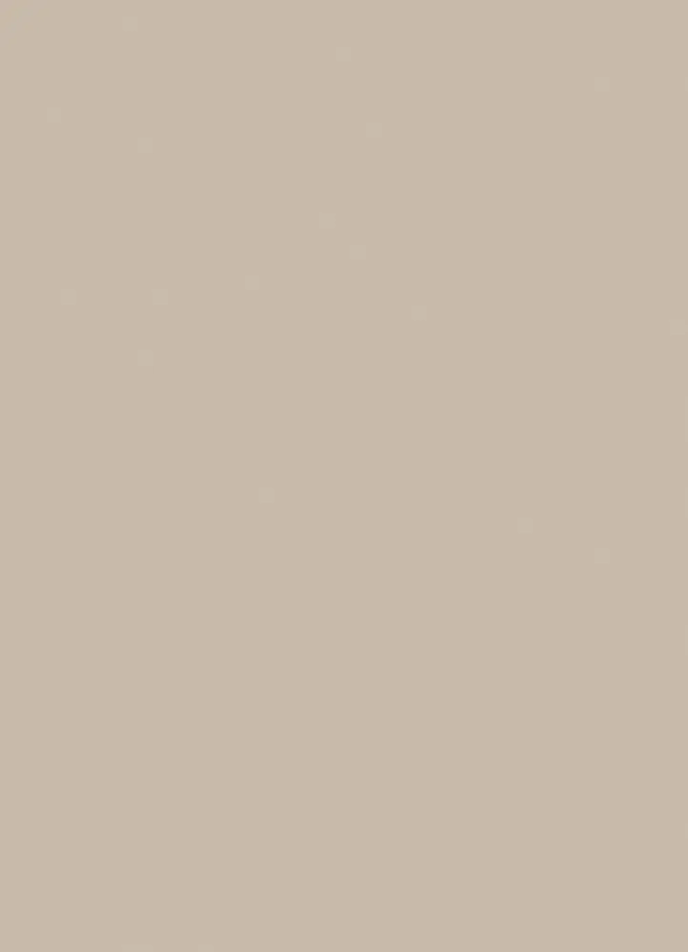 Краска для мебели CHARME цвет Лен 500 мл