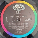 Tina Turner / Break Every Rule (LP)