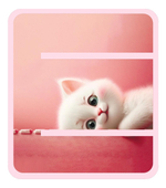 Папка д/труда А4 молния вокруг, пластик 325/230/25 "Кошачьи прятки 2024" (Пчелка)