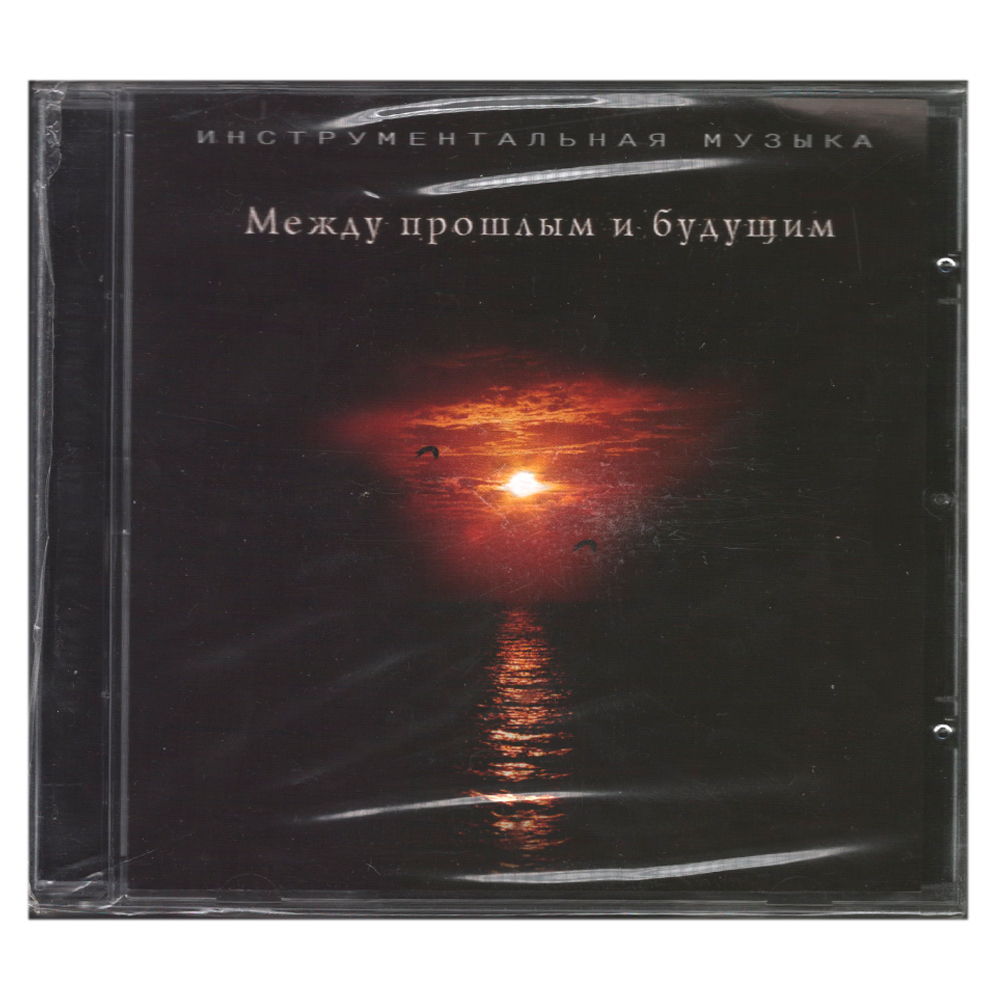 Александр Рябцев / Между Прошлым И Будущим (CD)