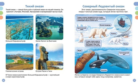 Твоя первая энциклопедия. Море и его обитатели