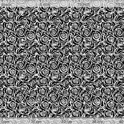 Розы. Цветы. Черно-белая графика. Абстракция by Маната 1200 DPI