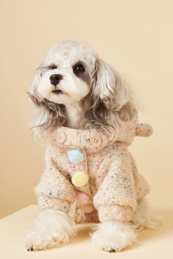 Куртка для собак Цветные помпоны