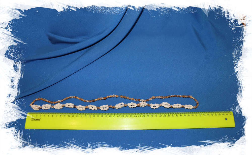 Бусы с морскими ракушками Бижутерия