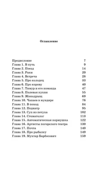 Как мы с Вовкой. История одного лета. Книга для взрослых, которые забыли о том, как были детьми