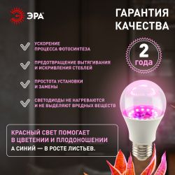 Фитолампа для растений светодиодная ЭРА GREEN LINE ФИТО A65-20W-PL-E27-GR розового свечения 20 Вт | Фитолампы Е27