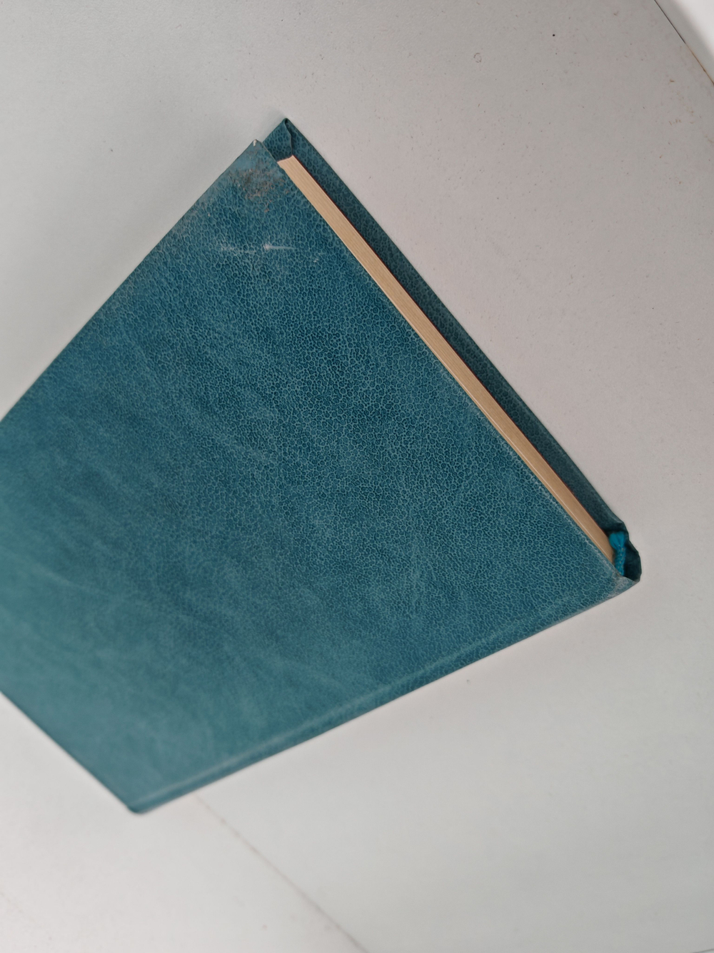 Двадцатый век