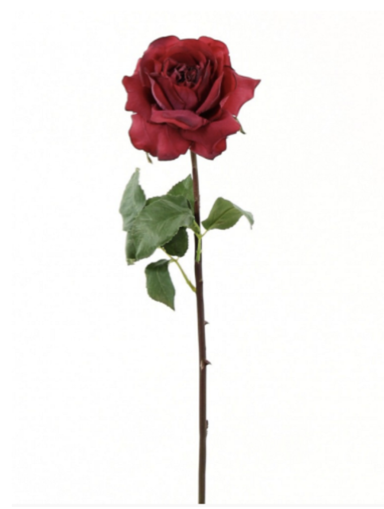 Роза 51 см