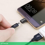 Адаптер Baseus MicroUSB/USB-C (CAMOTG-01)