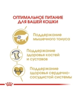 ROYAL CANIN British Shorthair Adult (Роял Канин Бритиш Шорт Эдалт) корм сухой для кошек 13 кг.