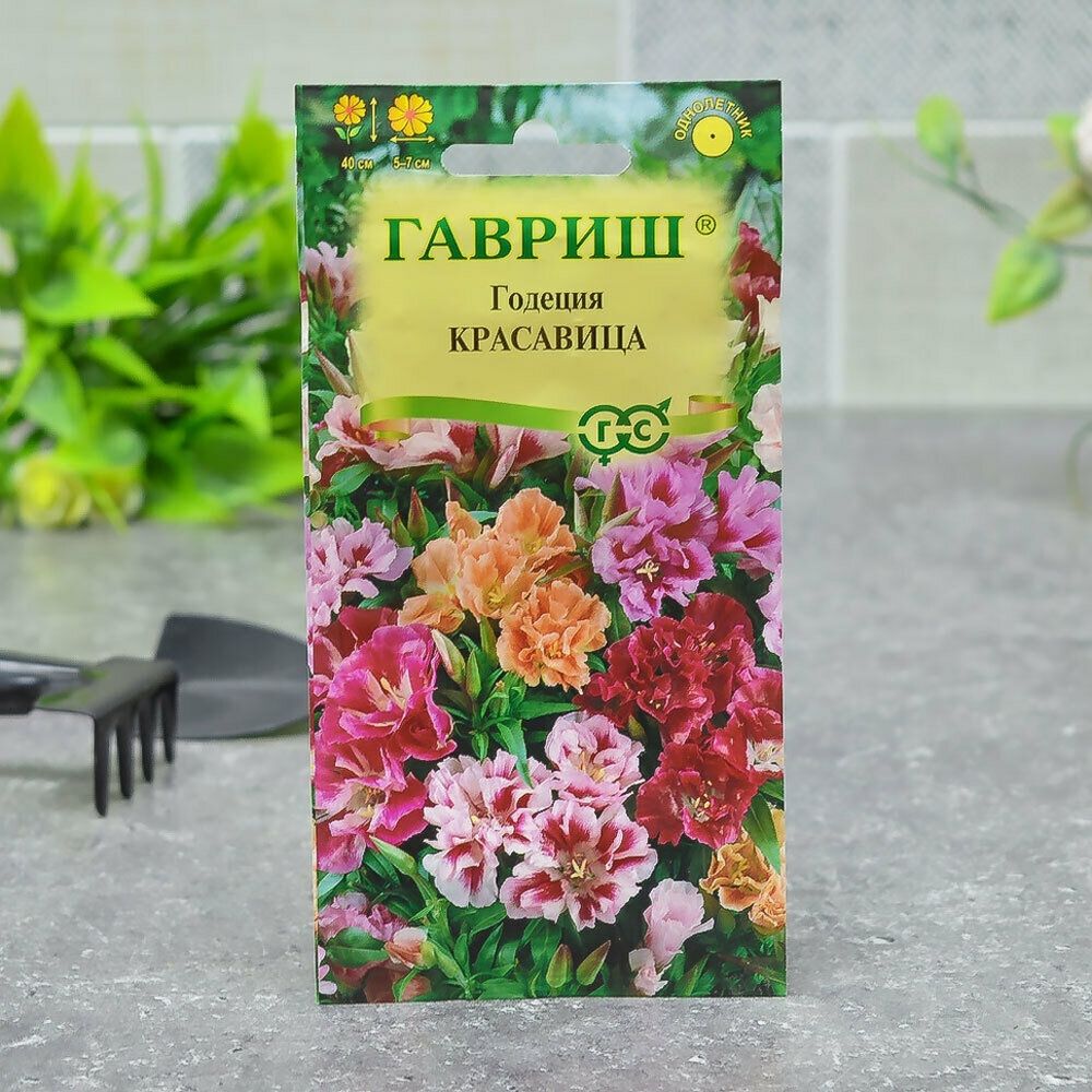 ГОДЕЦИЯ Красавица смесь Гавриш Ц (10шт) ГОДЕЦИЯ Красавица смесь Гавриш Ц (10шт)