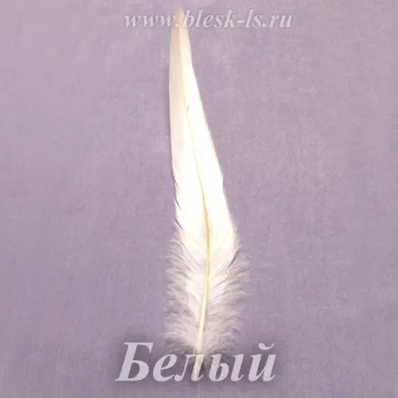 Перо петуха 25-30 см, Белый