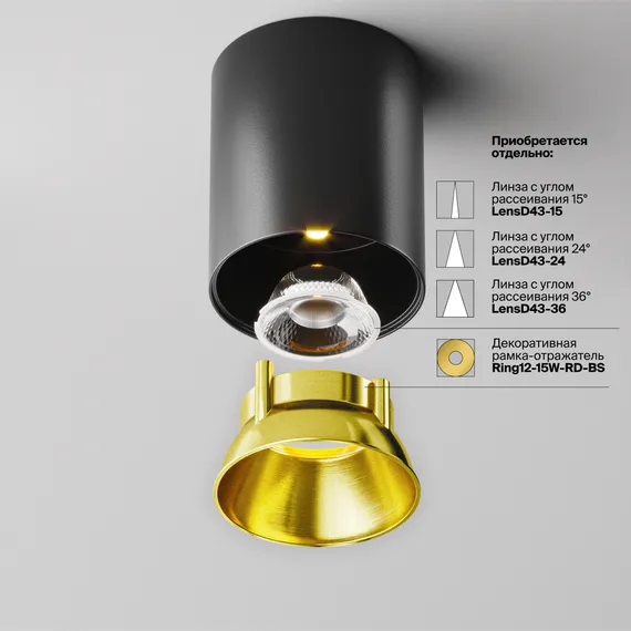 Потолочный светильник Альфа / Alfa LED 12 Вт 3000 К 60° Technical c064cl-12w3k-rd-b