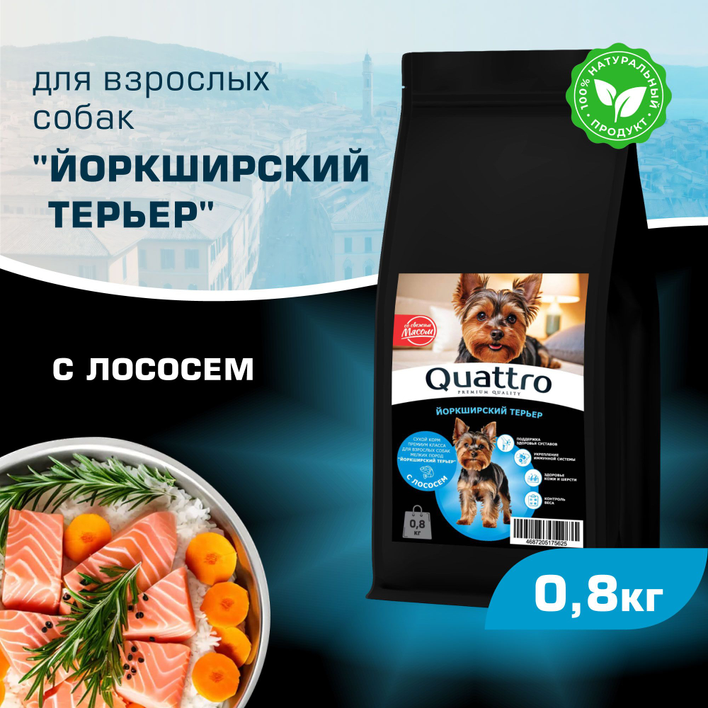 Корм сухой для взрослых собак породы Йоркширский терьер, с лососем, 800 гр, QUATTRO