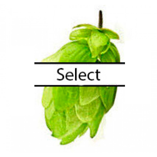 Хмель ароматный Select (Германия) 50гр Альфа-кислоты: 3-6,5%