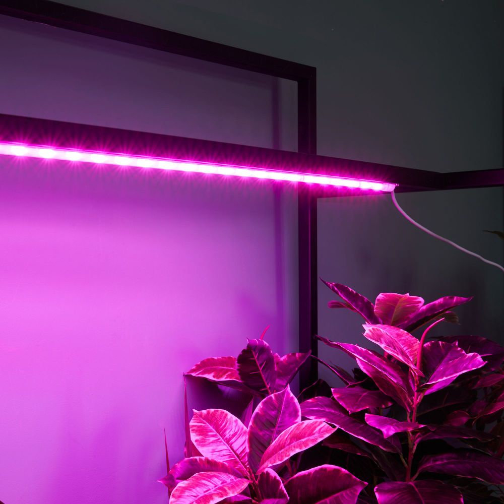 ULZ-P06-14W-SPSB IP65 CLEAR Светильник для растений светодиодный линейный. 900мм. Пластик. Спектр для рассады и цветения. TM ФитоЛето