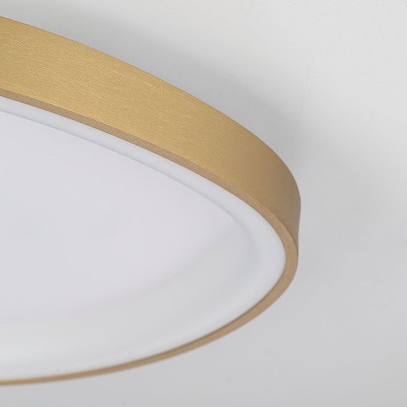Потолочный светодиодный светильник Citilux Genka Smart CL756A142