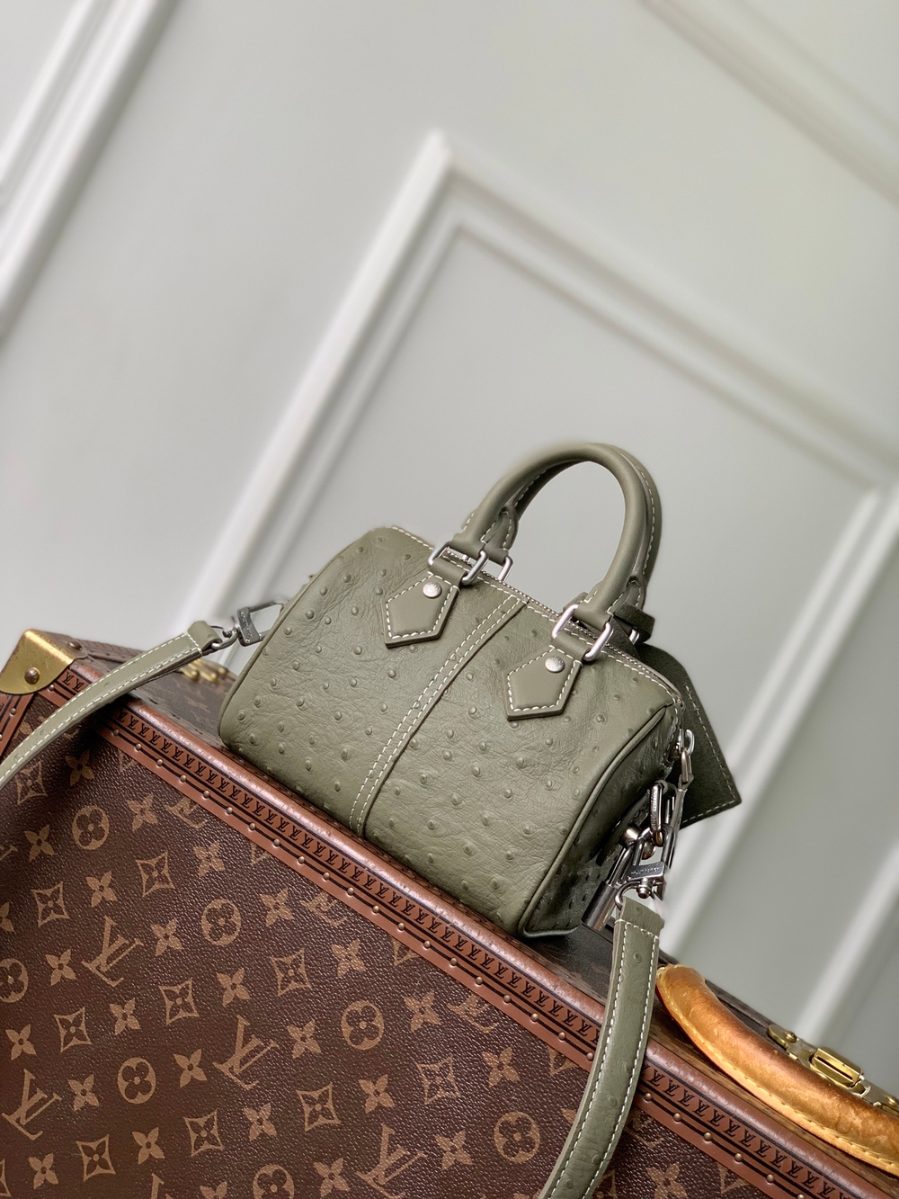 Louis Vuitton Speedy 18 Bandouliere