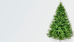 Искусственная ель Шотландская