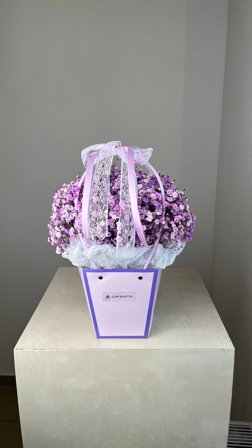 Купить гипсофилы Казань