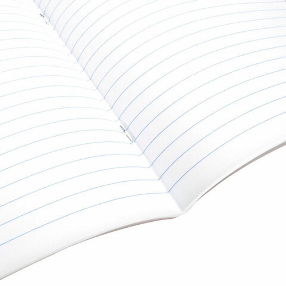 Тетрадь предметная "КОТ-ЭНТУЗИАСТ" 48 л., TWIN-лак, РУССКИЙ ЯЗЫК, линия, подсказ, BRAUBER, 404565