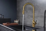 Смеситель для кухни Paulmark Universal Un213880-BG брашированное золото