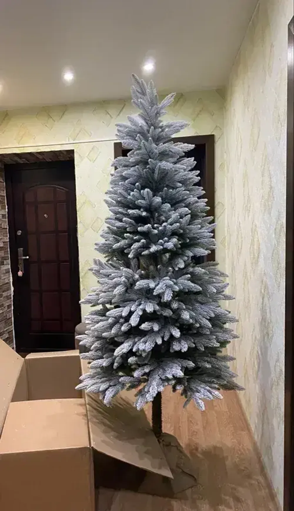 заснеженная елка