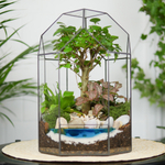 Готовый флорариум бонсай Лигуструм Бонсариум с озером