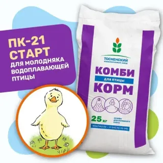 Водоплавающая птица
