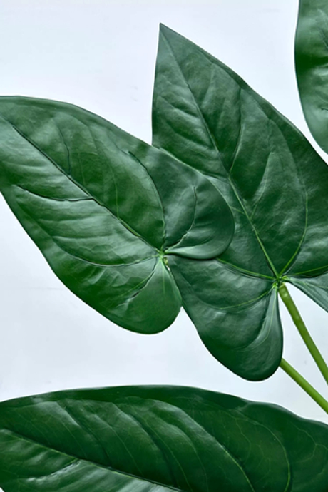 Куст Антуриума 7 листьев 76см