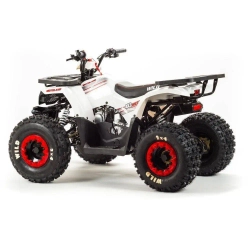 Квадроцикл Motoland 125 WILD A