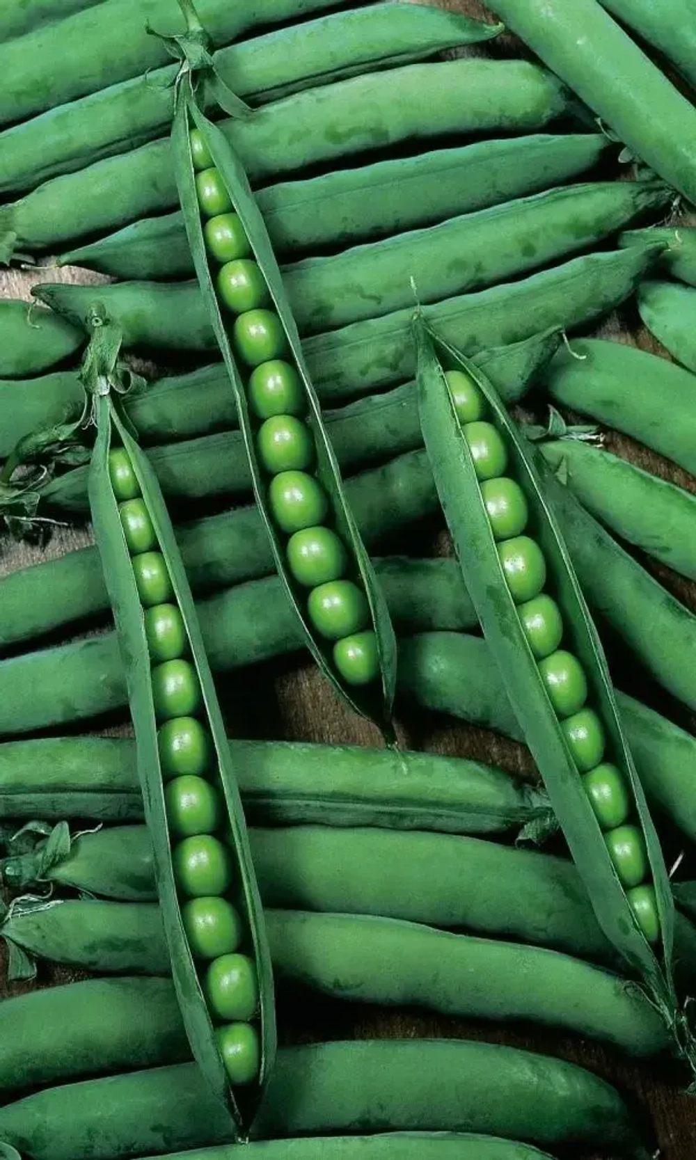 Семена Капуста цветная Египетские Пирамиды 0,2 гр (УД) Е/П