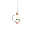 Подвесной дизайнерский светильник  Eco 3 by Light Room