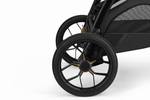 Прогулочная коляска Inglesina Aptica XT 2025 Canyon Grey