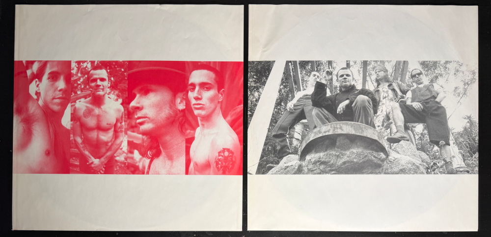 Red Hot Chili Peppers ‎– Blood Sugar Sex Magik 2LP (германия 1991г.)