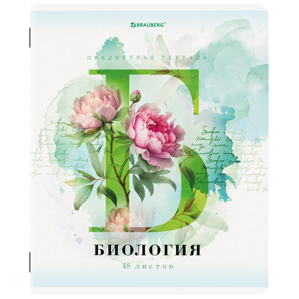 Тетради предметные комплект 12 ПРЕДМЕТОВ 48 л. матовая ламинация лак BRAUBERG "CALM" (2 штуки в упаковке)