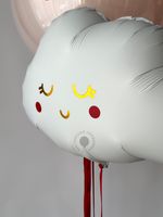 Воздушные шары на выписку для девочки №8877