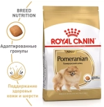 Royal Canin Adult Pomeranian Сухой корм для взрослых собак породы Померанский шпиц, 1.5 кг