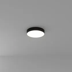 Потолочный светильник Arte Lamp