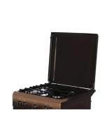 Плита газовая 6100-02 0010