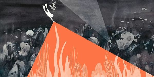 Вот так треугольник!