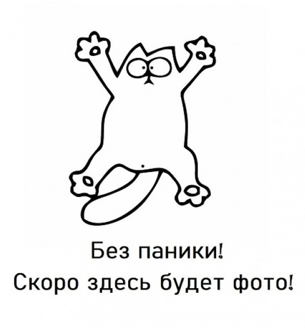 Дверь-купе ARISTO Н, зеркало, профиль золото матовое