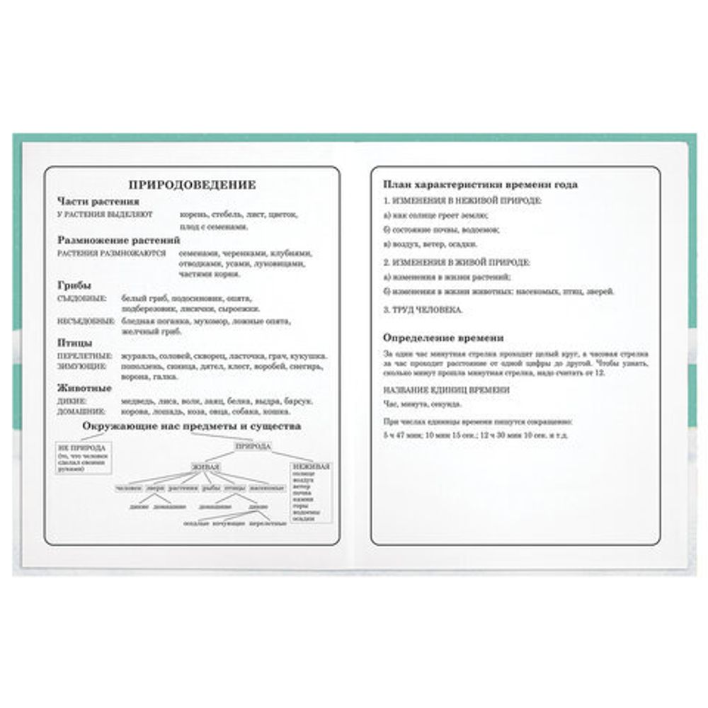 Дневник 1-4 класс 48 л., гибкая обложка, ЮНЛАНДИЯ, выборочный лак, с подсказом, "Вишенки", 106589
