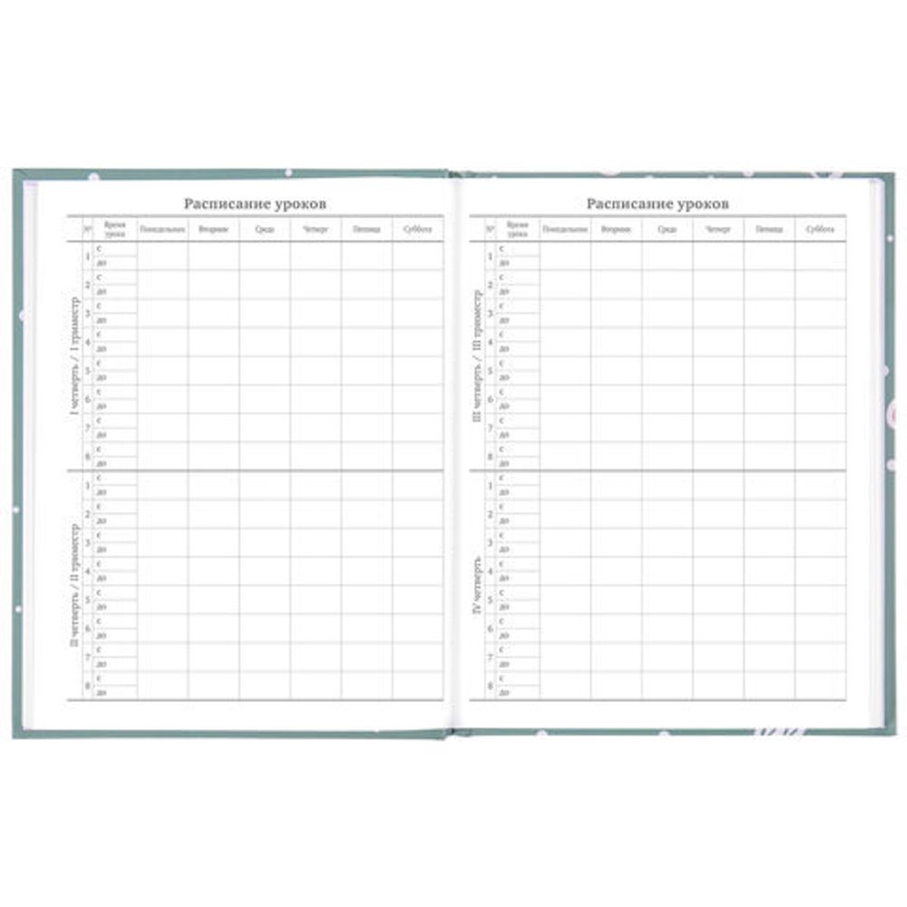 Дневник 5-11 класс 48 л., твердый, BRAUBERG, блестки, с подсказом, "Кактусы", 106420