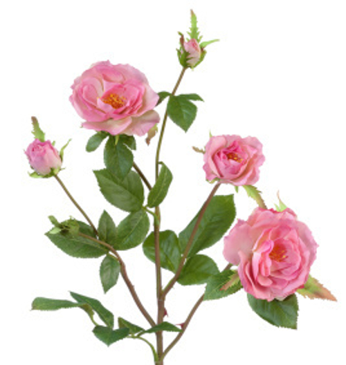 Роза Вайлд ветвь розовая