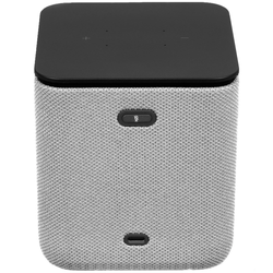 Яндекс Станция Миди