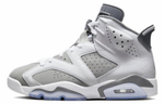 Кроссовки Jordan Air Jordan 6 "Cool Grey"
