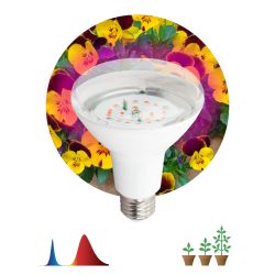 Фитолампа для растений светодиодная ЭРА FITO-16W-RB-E27-K красно-синего спектра 16 Вт Е27 | Фитолампы Е27